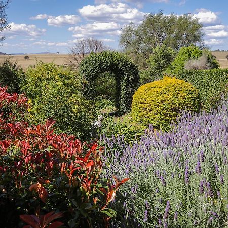Strathearn Park Lodge Скоун Екстериор снимка