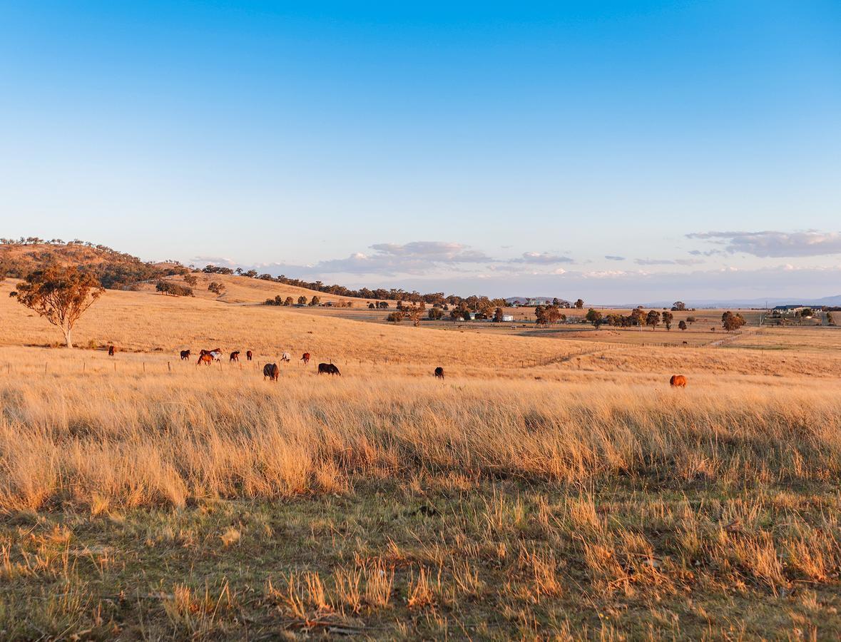 Strathearn Park Lodge Скоун Екстериор снимка